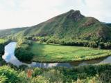 Waimea Canyon & Fern Grotto Tour